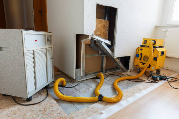 Asbestos and Lead Testing During Mold Inspection